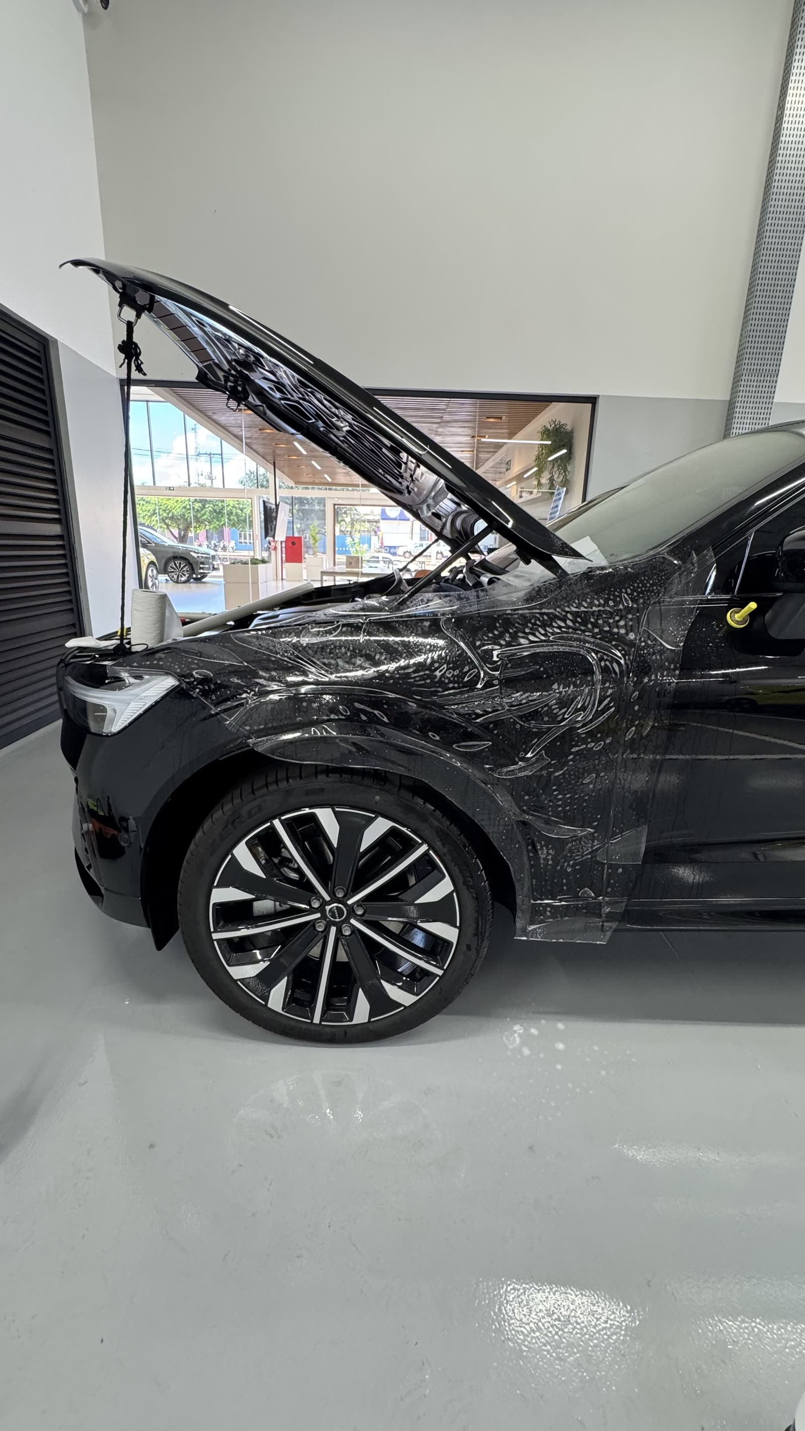 PPF — Paint Protection Film